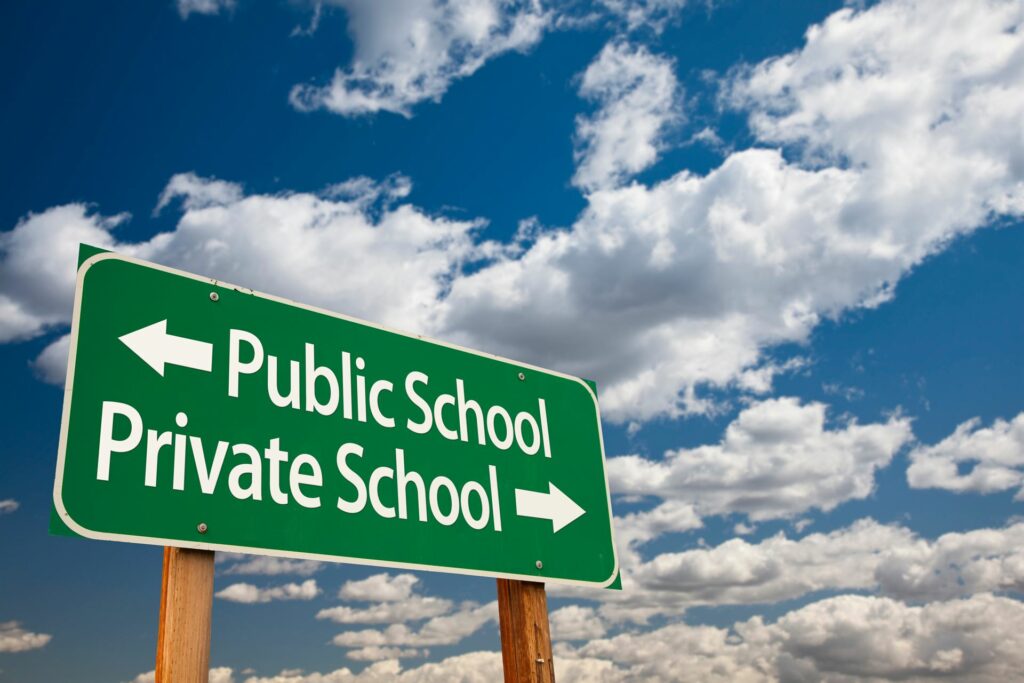public or private school